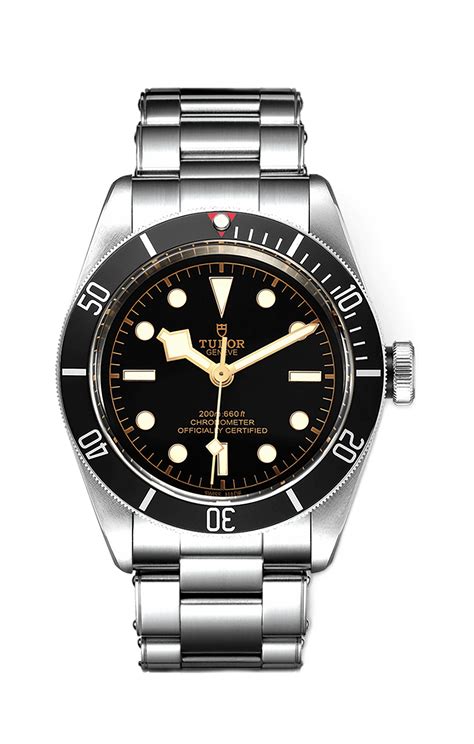 tudor black bay 79230n price|tudor black bay blue dial.